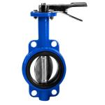 8" Butterfly valve